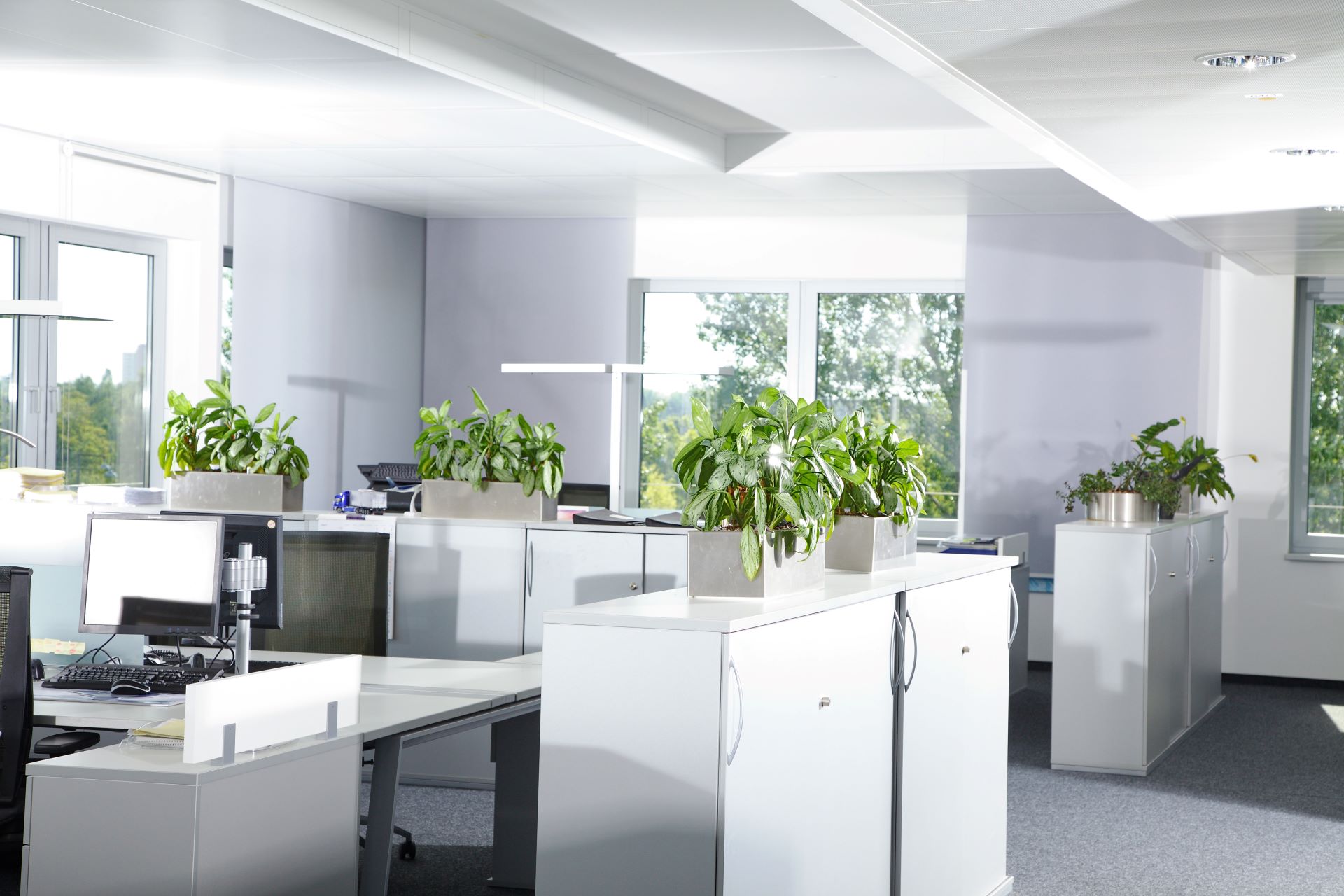 Resume Writing Services Eaglehawk VIC